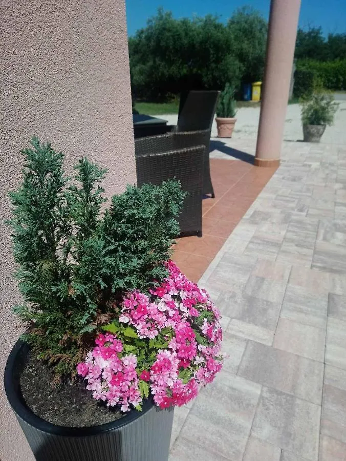 Apartment Appartment Mass Umag Croatia